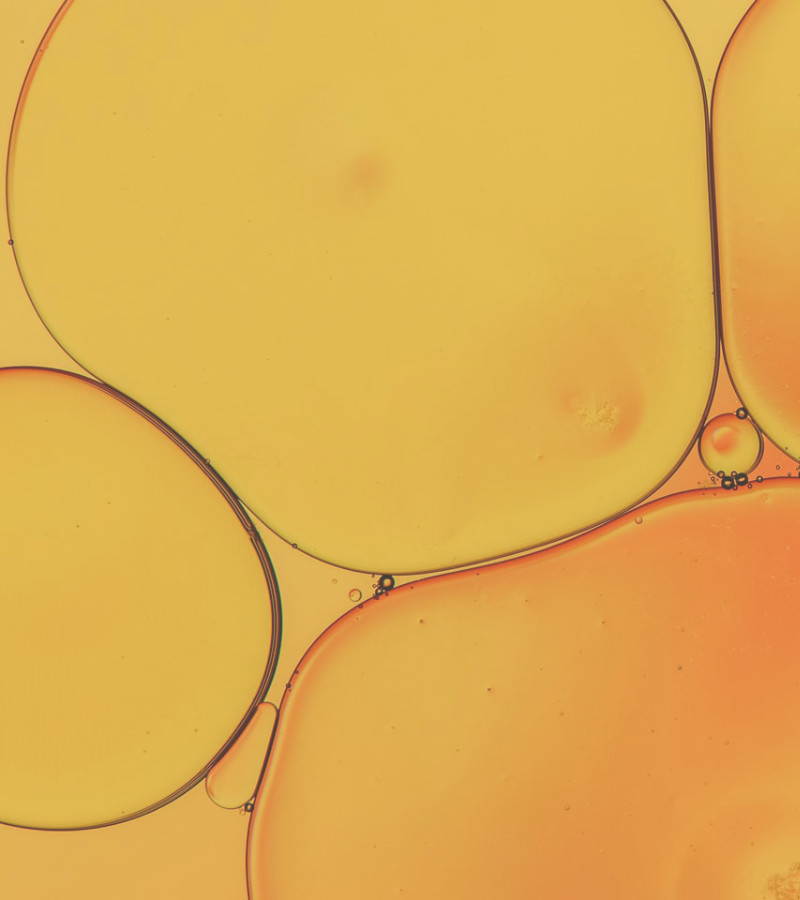 Dra. Evadné Guerrero - Fillers Autólogos